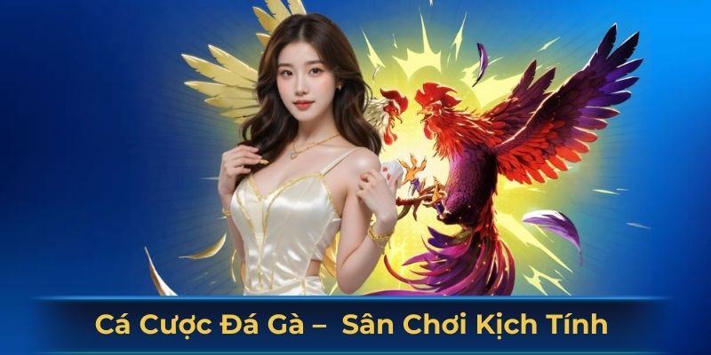 Cá cược đá gà